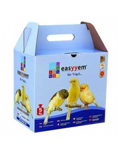 Easyyem pâte jaune sec