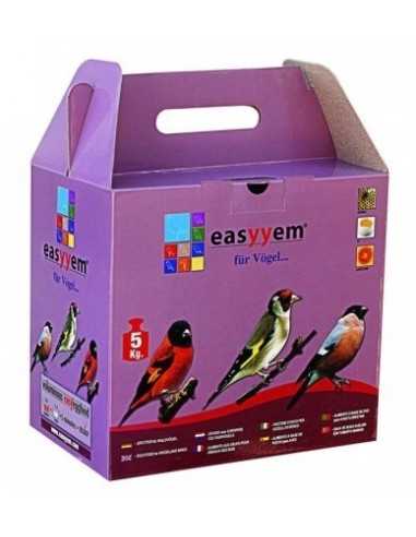 Easyyem Woodland birds