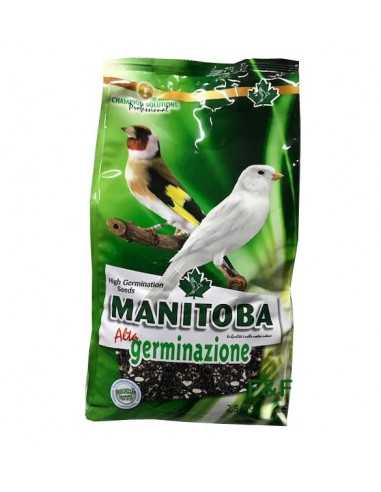 High Germination Mixture Manitoba