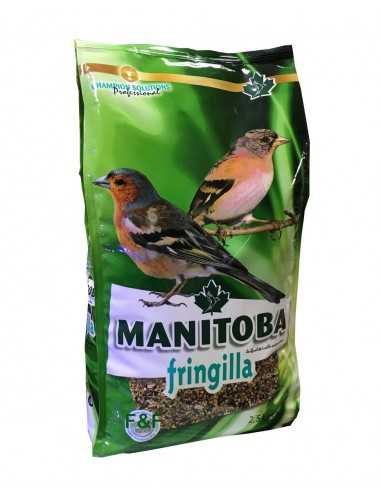 Mixture Fringilla Manitoba