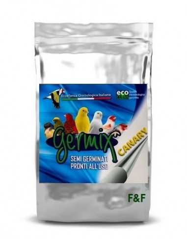 Germix Canary