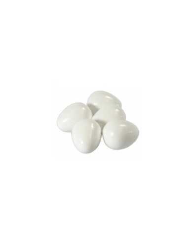 Agapornis plastic egg (Art.304) 2Gr