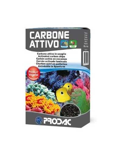 Carbone attivo prodac