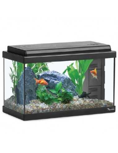 Acquario ADVANCE LED 40