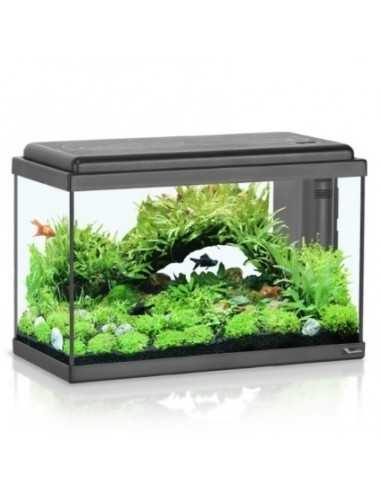 Acquario ADVANCE LED 50