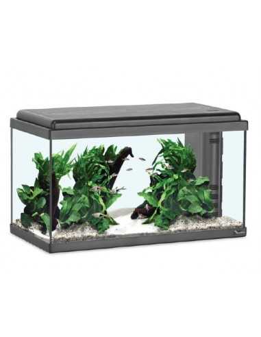 Acuario ADVANCE LED 60