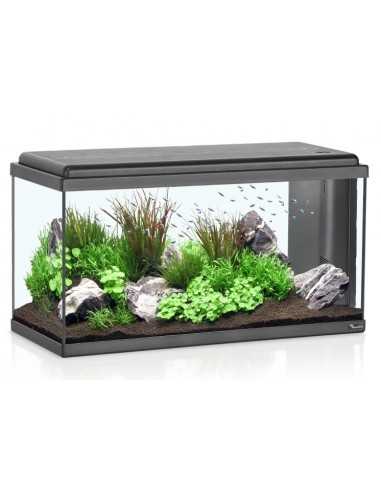 Acuario ADVANCE LED 80