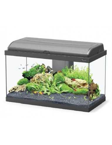 Aquariums AQUADREAM 60