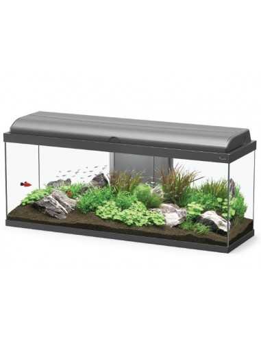 Aquariums AQUADREAM 100