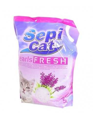 Sand Silica Cat mit Lavendel Sepicat