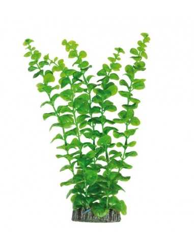 Bacopa australis Plastic Plant AQUATIC PLANTS (28cm) ICA