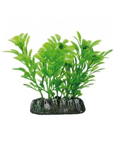 Samolus Plastic Plant AQUATISCHE PFLANZEN (7 cm) ICA