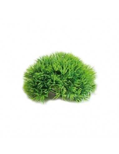 Plante en plastique demi-boule salvacria 12cm Boyu