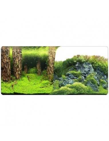 Lamina fondo doble plantas y troncos 50cm x1m