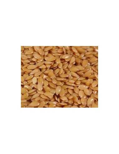 Linseed Blonde