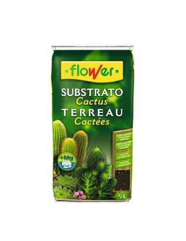 Cacto de substrato Flower