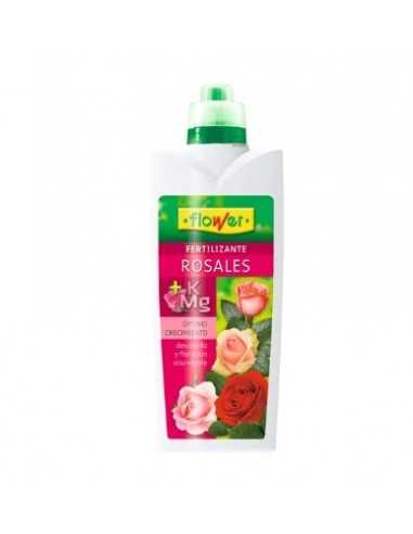 rosebush Fertilizer Flower