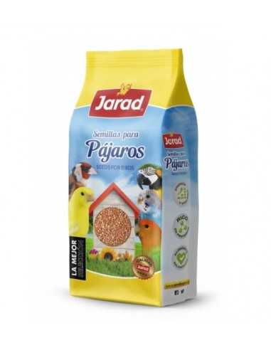 Radis Jarad