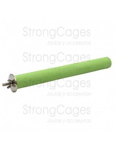 Lime innkeeper Small parrot Strongcages