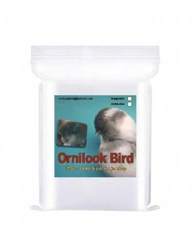 Ornilook Bird