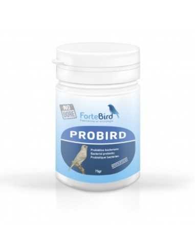 Probird Fortebird