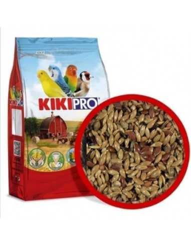 Canario Euro sin nabina  Kiki pro