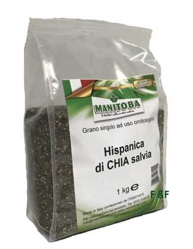 Chia Manitoba