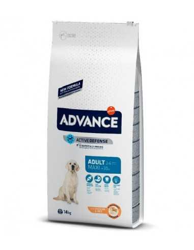 Advance Medium Adult +30kg