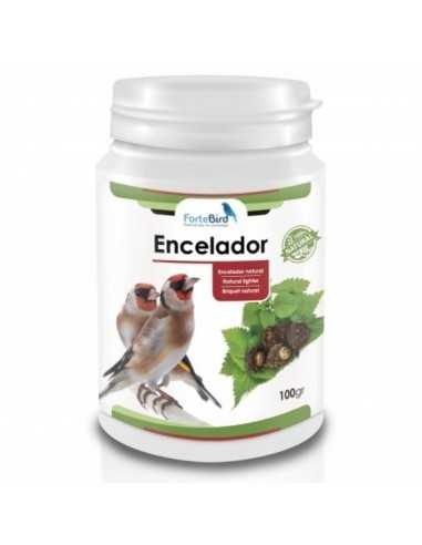 Encelador Natur Fortebird