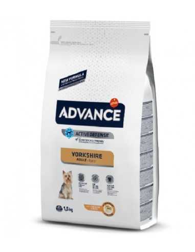 Advance Yorkshire Terrier Adult