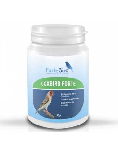 Coxbird Forte Fortebird