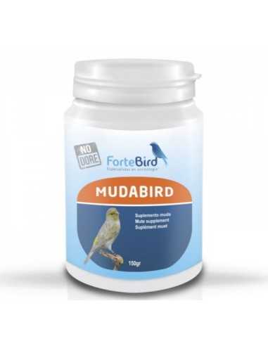 Mudabird Fortebird