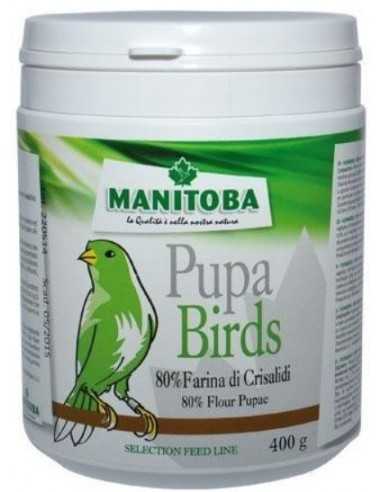 Larval meal   Pupa Birds  Manitoba