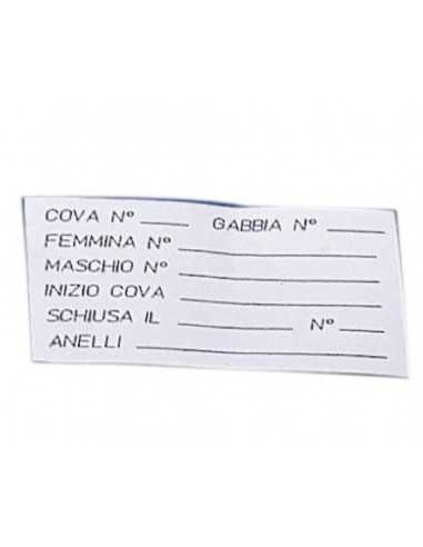 card (I021) STA