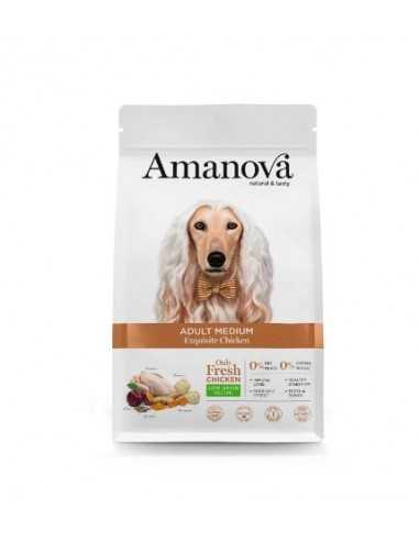 Adult Medium Exquisite Chicken Amanova