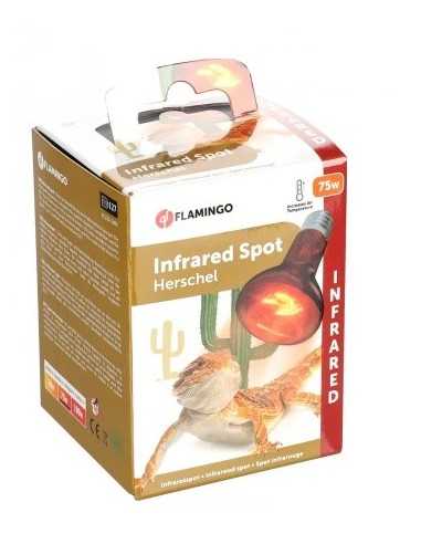 Ampoule infrarouge 75W FLAMINGO