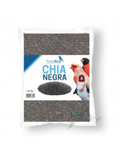 Black Chia Fortebird