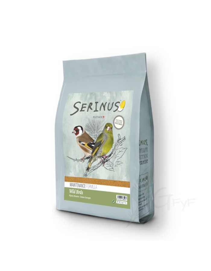 Feed wild birds Maintenance Serinus