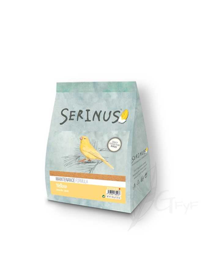 Yellow Komplettes Wartung Serinus