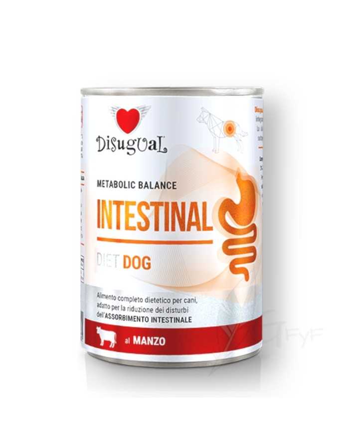 Metabolic Balance INTESTINAL Bovino Disugual