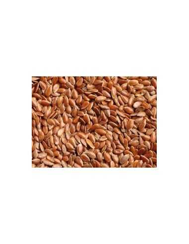 Linseed