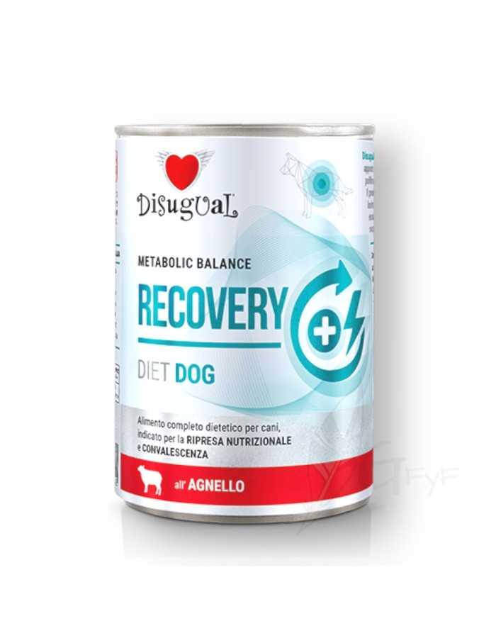 Metabolic Balance RECOVERY Cordero Disugual