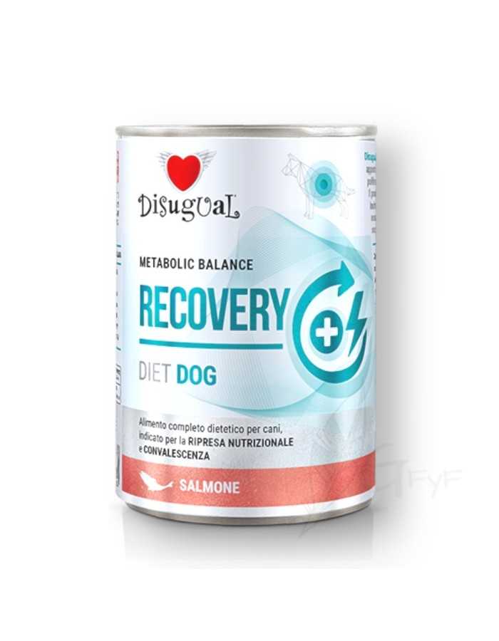 Metabolic Balance RECOVERY Salmón Disugual