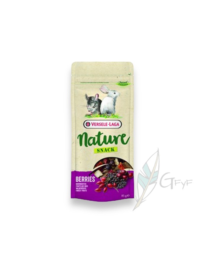 NATURE  SNACK BERRIES 85 GR