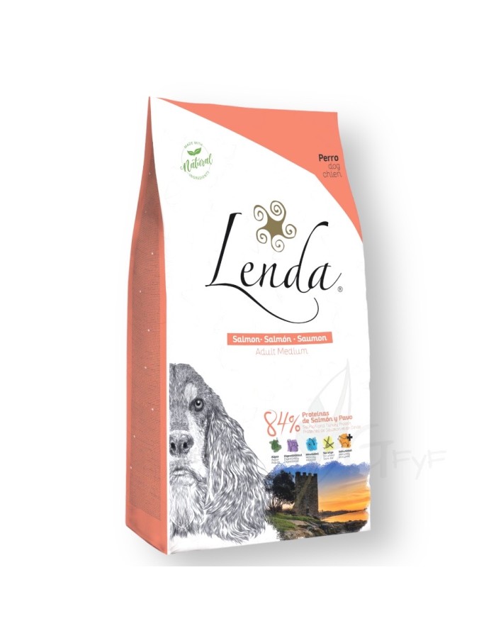 Lenda Original Salmon