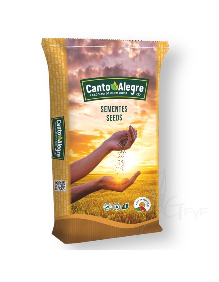 Miglio Bianco Canto Alegre