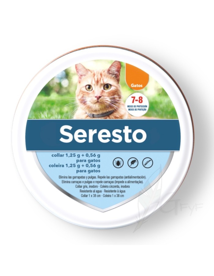 Seresto cat Elanco