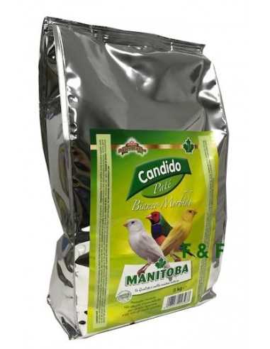 Pasta Blanca Morbida Candido 3 kg Manitoba