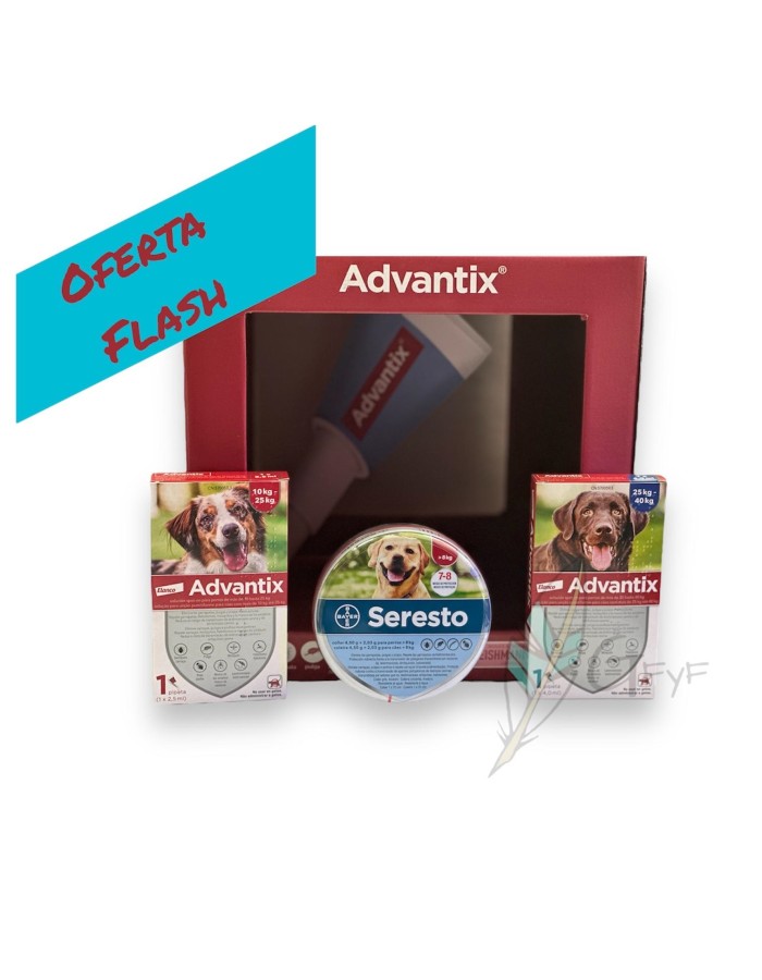 Combo 25-40 kg Advantix pipette + Seresto collar for large dogs