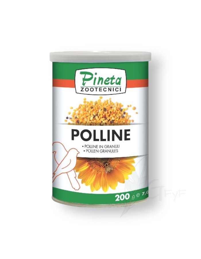 Pólen de abelha Pineta